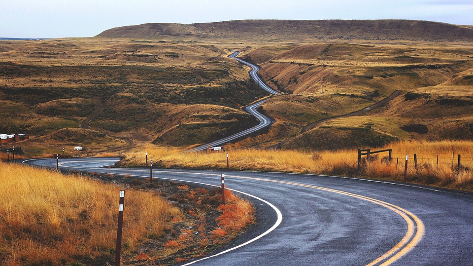 Winding Startup Path to Success